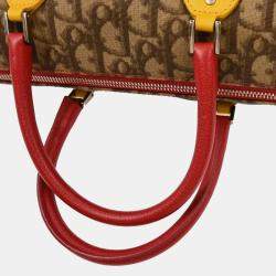 Pre Owned Christian Dior Brown Rasta-Color Trotter Handbag