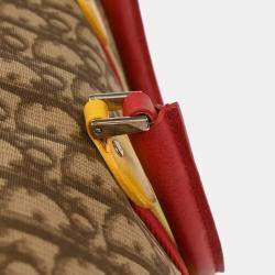 Pre Owned Christian Dior Brown Rasta-Color Trotter Handbag