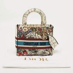 Pre Owned Dior Multicolor Floral Embroidered Canvas Medium Lady D-Lite Tote