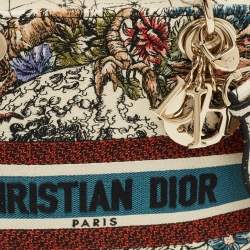 Pre Owned Dior Multicolor Floral Embroidered Canvas Medium Lady D-Lite Tote
