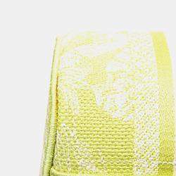 Pre Owned Christian Dior Dior Toile Joue D'Hui Vanity Bag Handbag Shoulder Green Jacquard