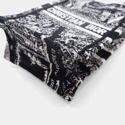 Pre Owned Dior Mini Canvas Vertical Tote