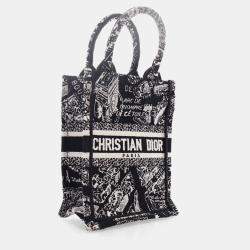 Pre Owned Dior Mini Canvas Vertical Tote