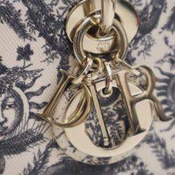 مملوكة مسبقًا Dior White Small Denim Toile de Jouy Soleil Lady D Joy