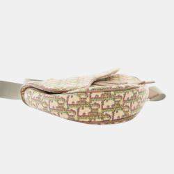 مملوكة مسبقًا حقيبة كروس بودي ديور سادل كانفاس مزخرف متعددة الألوان بني