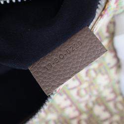 مملوكة مسبقًا حقيبة كروس بودي �ديور سادل كانفاس مزخرف متعددة الألوان بني