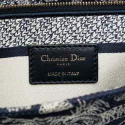 Pre Owned Dior Blue Large Embroidered Canvas Toile de Jouy Lady D Lite