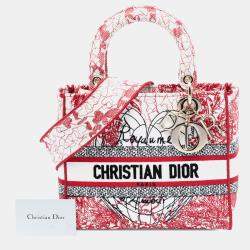 Pre Owned Dior Red DiorAmour Medium Embroidered Canvas Royale Lady D Lite