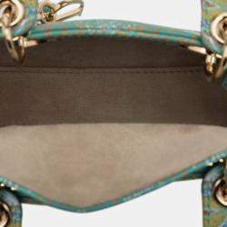 Pre Owned حقيبة ليدي ديور ديور جلد عجل صغير أخضر في لايتس