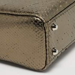 Pre Owned حقيبة يد ديور ليدي ديور صغيرة جلد بايثون معدني