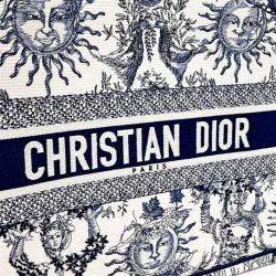 Pre Owned Dior Multicolor Fabric Book Tote Bag