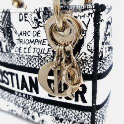 مملوكة مسبقًا Dior Multicolor Fabric D-Lite Lady Bag Mini