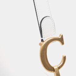 مملوكة مسبقًا حقيبة سرج جلد عجل محبب أبيض ديور