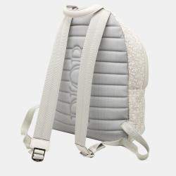 Pre Owned حقيبة ظهر ديور رايدر قماش أوبليك بني