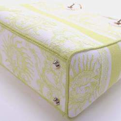 Pre Owned Christian Dior Medium Embroidered Canvas Dioriviera Lady D-Lite