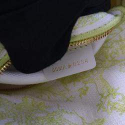 Pre Owned Christian Dior Medium Embroidered Canvas Dioriviera Lady D-Lite