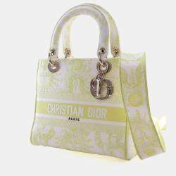 Pre Owned Christian Dior Medium Embroidered Canvas Dioriviera Lady D-Lite
