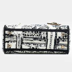 Pre Owned Dior White Mini Embroidered Canvas Plan de Paris Lady D Lite