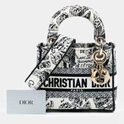 Pre Owned Dior White Mini Embroidered Canvas Plan de Paris Lady D Lite