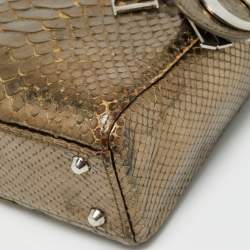 مملوكة مسبقًا Dior Lady Dior Mini Metallic Python Tote