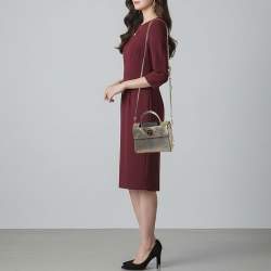 Pre Owned Dior Diorever Mini Silver Python Top Handle Bag