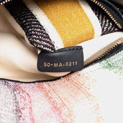 Pre Owned Dior Multicolor Medium Embroidered Multicolor Canvas Striped Lady D Lite