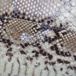 Pre Owned حقيبة ديور هوبو بيثون كريمي/بيج لو ترينتي