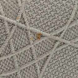 Pre Owned حقيبة يد توتس ديور ليدي دي-لايت قماش مطرز كاناج رمادي فاتح متوسط الحجم