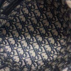 Pre Owned حقيبة دلو وولكر ديور أوبليك رافيا وقماش أزرق وبيج