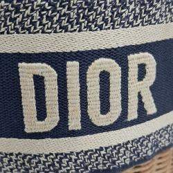 Pre Owned حقيبة دلو وولكر ديور أوبليك رافيا وقماش أزرق وبيج