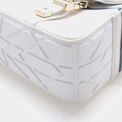 مملوكة مسبقًا حقيبة رسول كالف سكين وسط ديور كامب كريستيان ديور