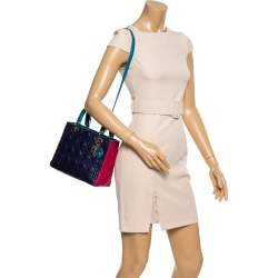 Pre Owned Dior Multicolor Cannage Leather Medium Lady Dior Tote