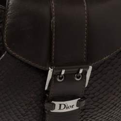 Pre Owned حقيبة هوبو ديور قلاب مزين إبزيم جلد ثعبان بني داكن