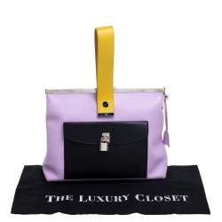 مملوكة مسبقًا حقيبة كلتش ديور إطار جيب جلد متعددة الألوان