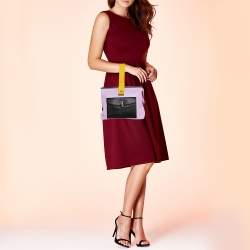 مملوكة مسبقًا حقيبة كلتش ديور إطار جيب جلد متعددة الألوان