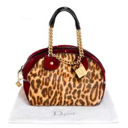 مملوكة مسبقًا Dior Multicolor Leopard Print Calfhair, Velvet and Patent Leather Gambler Dice Bag