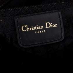 مملوكة مسبقًا Dior Multicolor Leopard Print Calfhair, Velvet and Patent Leather Gambler Dice Bag