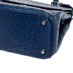 Pre Owned Dior Blue Ostrich Medium Be Dior Flap Top Handle Bag