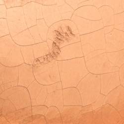 Pre Owned حقيبة ظهر ديور ستاردست جلد كاتاج ذهبي وردي ميتاليك