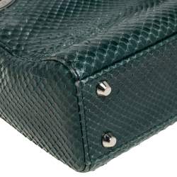 Pre Owned Dior Green Python Mini Chain Lady Dior Tote