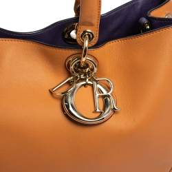 مملوكة مسبقًا حقيبة يد توتس ديور ديوريسيمو شوبر جلد بني فاتح كبيرة