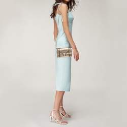 مملوكة مسبقًا محفظة بسلسلة ديور ديوراما جلد لامع مايكرو كاناج ذهبي ميتاليك 