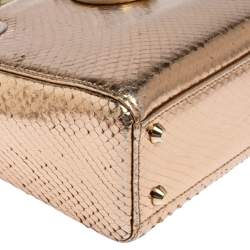 Pre Owned Dior Gold Snakeskin Mini Lady Dior Tote