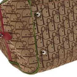 Pre Owned Dior Mulitcolor Trotter Canvas And Leather Rasta Bowler Bag