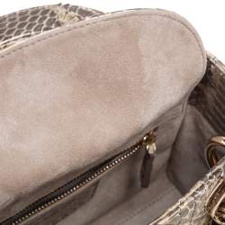 Pre Owned Dior Beige/Gold Python Mini Lady Dior Chain Tote