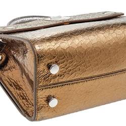 Pre Owned Dior Metallic Gold/Silver Leather Mini Diorever Bag