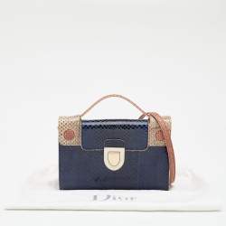 Pre Owned Dior Multicolor Python Diorever Top Handle Bag