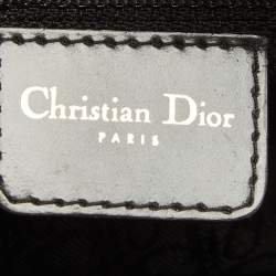 Pre Owned Dior Multicolor Leopard Print Calfhair, Velvet and Patent Leather Gambler Dice Bag