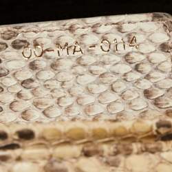 Pre Owned Dior Beige/Gold Python Large Lady Dior Tote