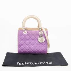 Pre Owned Dior Multicolor Cannage Leather and Water Snake Medium Lady Dior Tote